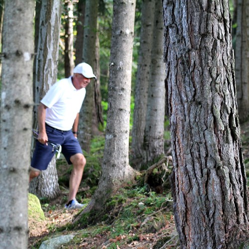 Südtiroler Sporthilfe 0