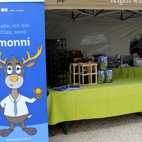 Südtiroler Sporthilfe 0